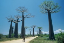 Photos de Madagascar - © Claire Lemontey & René Eulriet